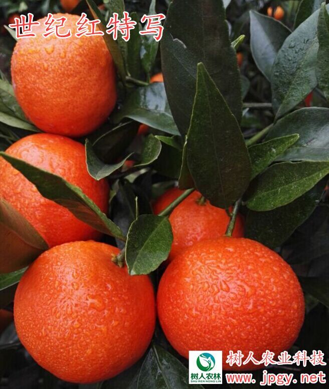 湖南省常德亚特农公司
