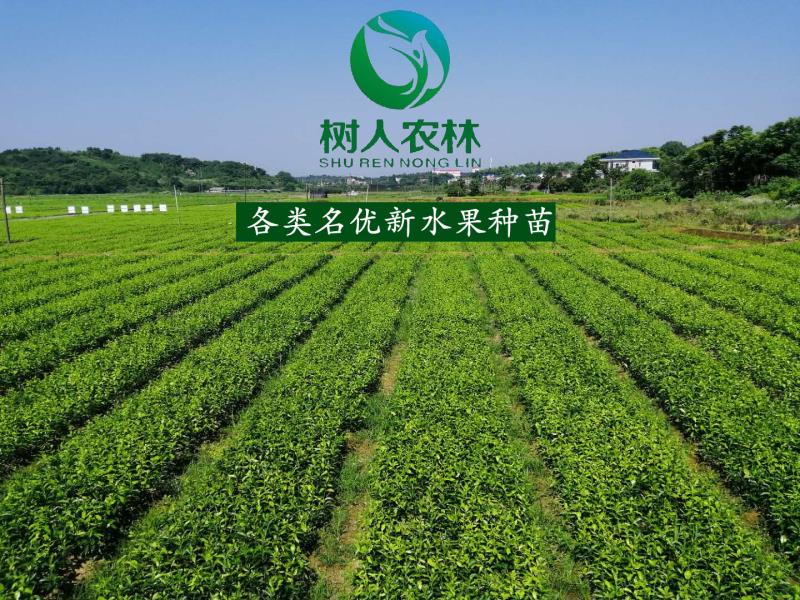隆昌树人农业科技有限公司