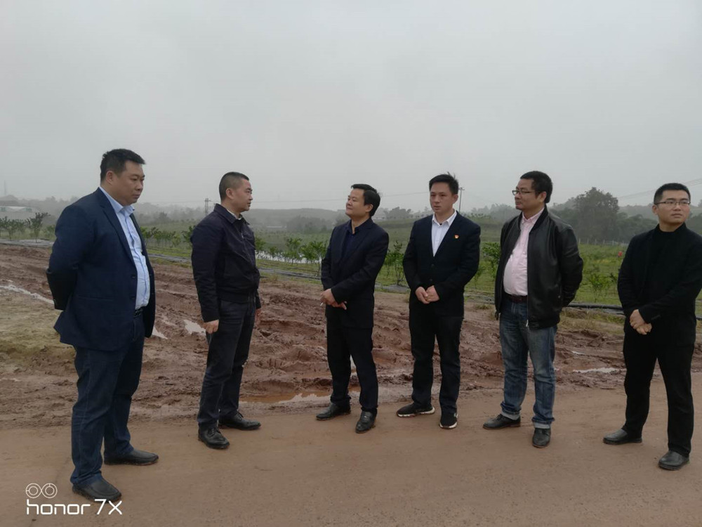 热烈欢迎隆昌市委领导视察隆昌树人农业科技有限公司