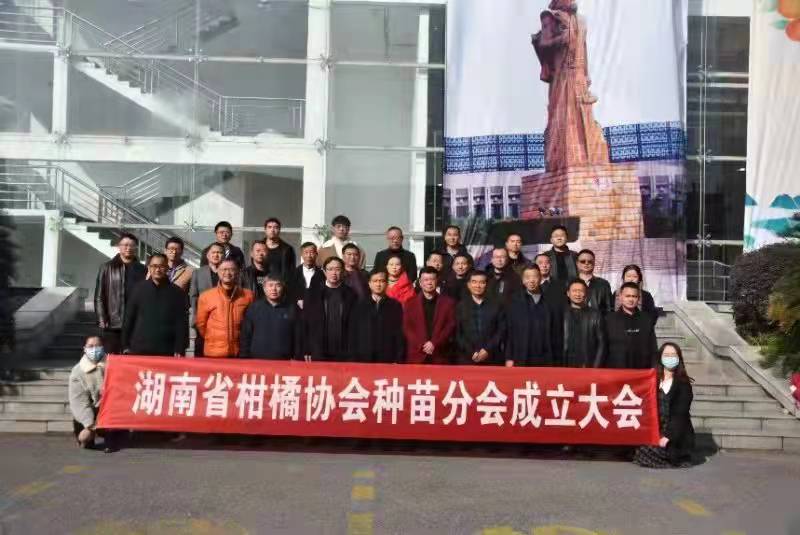 热烈祝贺湖南省柑橘协会种苗分会成立