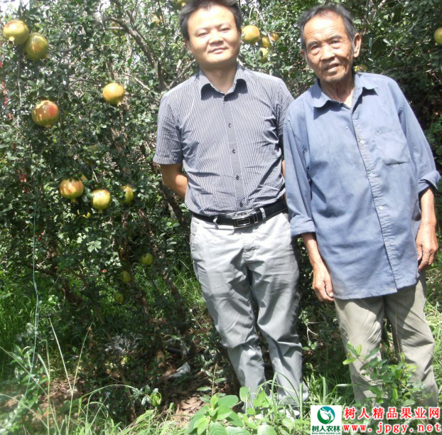 湖南树人农林科技有限公司,湖南柑橘品种销售,中国果树网,常绿果树类哪里好 湖南树人农林科技有限公司,湖南柑橘品种销售,中国果树网,常绿果树类哪里好