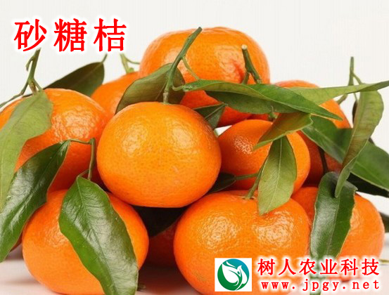 特种栽培技术 特种栽培技术