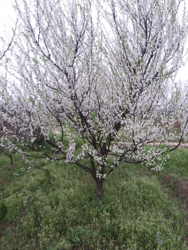 常德市万路达物流股份有限公司,常德危险品运输服务,普货运输服务,物流生活服务哪里好