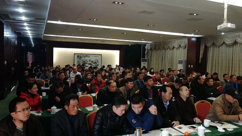 湖南树人农林科技有限公司,湖南柑橘品种销售,中国果树网,常绿果树类哪里好