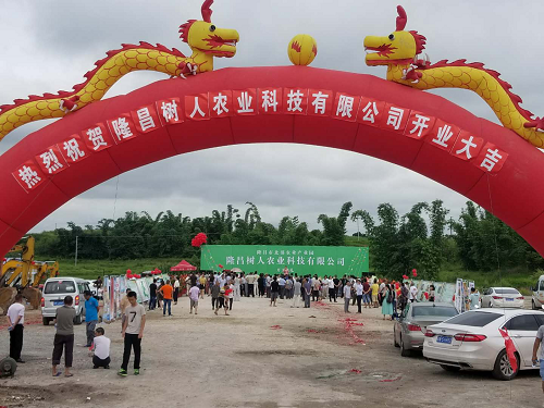 湖南树人农林科技有限公司,湖南柑橘品种销售,中国果树网,常绿果树类哪里好