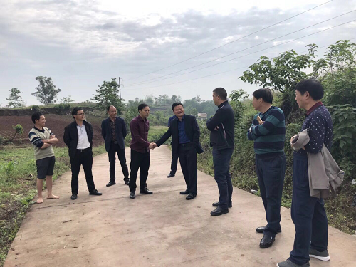 湖南树人农林科技有限公司,湖南柑橘品种销售,中国果树网,常绿果树类哪里好