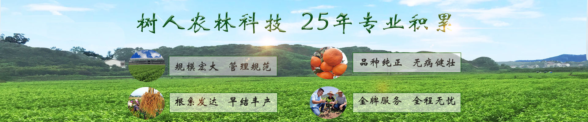 湖南树人农林科技有限公司_树人农林丨树人农业丨农业科技丨现代农业丨柑橘丨柑橘苗木丨果树苗木丨绿化苗木丨种子种苗丨田园综合体丨乡村旅游丨观光休闲等