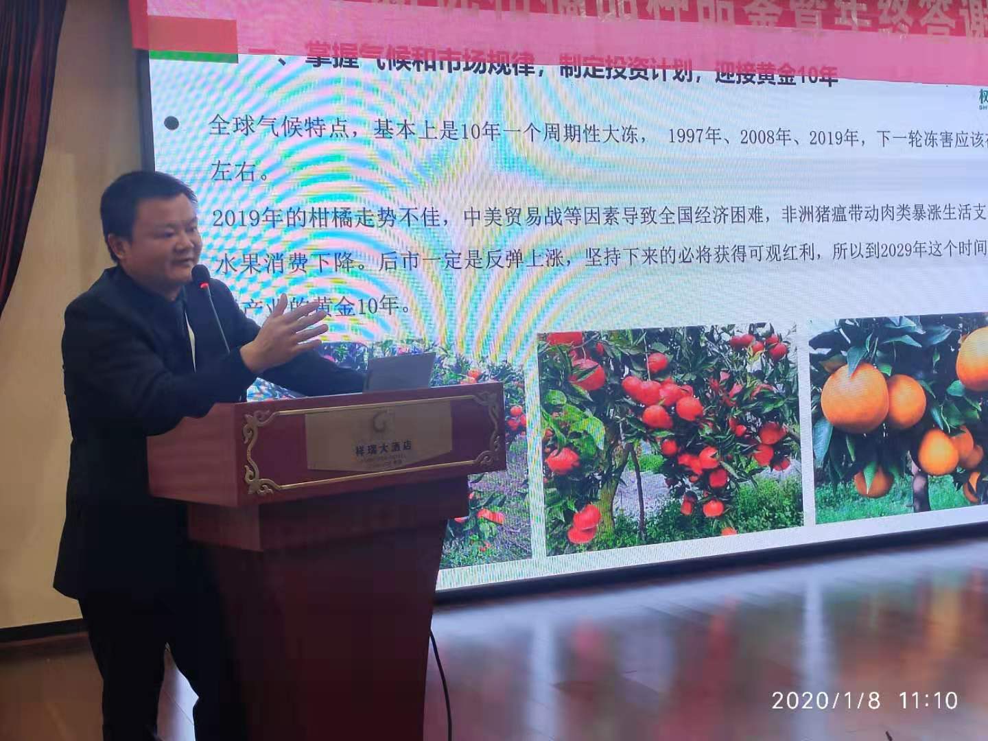 湖南树人农林科技有限公司,湖南柑橘品种销售,中国果树网,常绿果树类哪里好