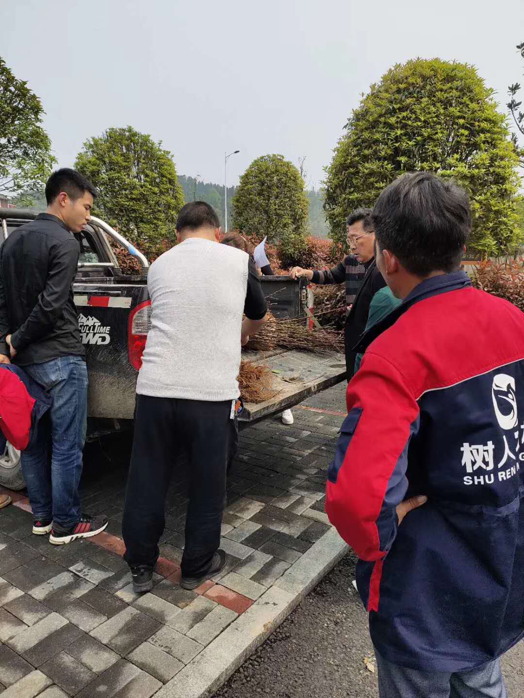 湖南树人农林科技有限公司,湖南柑橘品种销售,中国果树网,常绿果树类哪里好