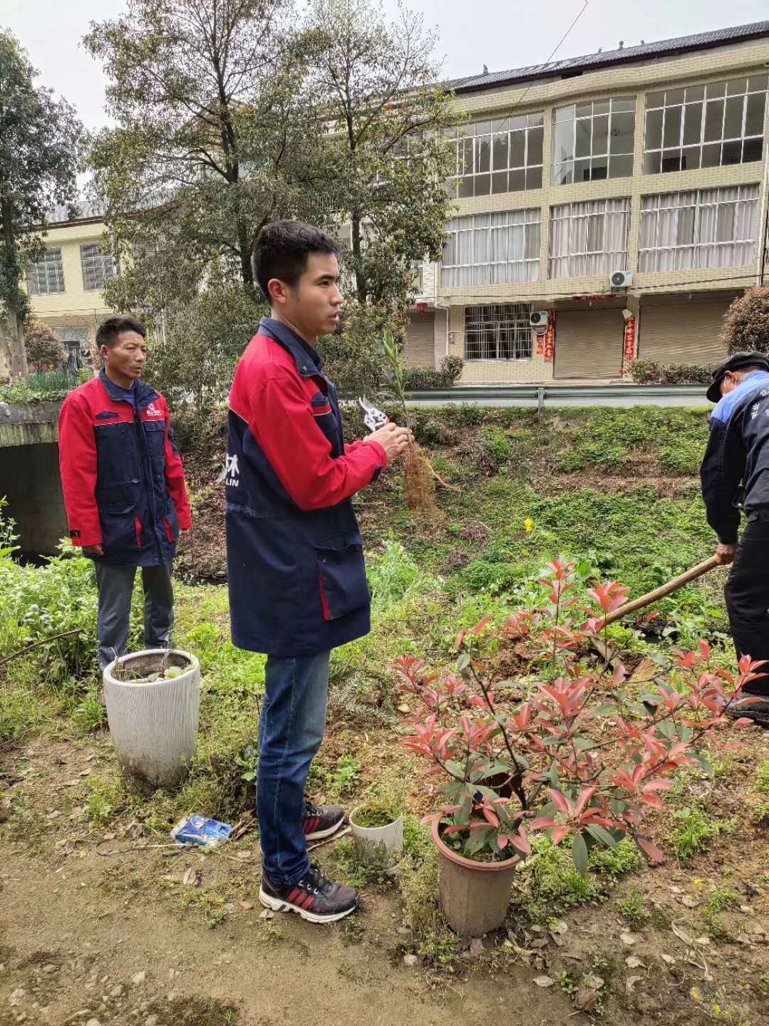 湖南树人农林科技有限公司,湖南柑橘品种销售,中国果树网,常绿果树类哪里好