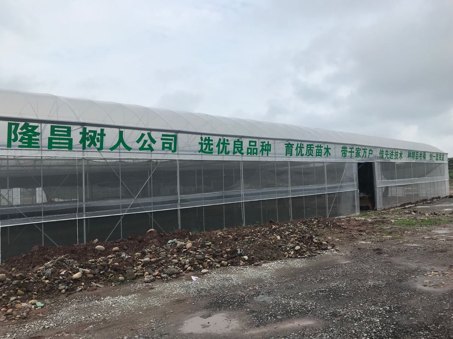 湖南树人农林科技有限公司,湖南柑橘品种销售,中国果树网,常绿果树类哪里好 湖南树人农林科技有限公司,湖南柑橘品种销售,中国果树网,常绿果树类哪里好